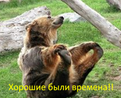 Девушка и плюшевый медведь