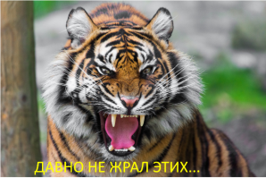 Хищники (вымышленная раса)