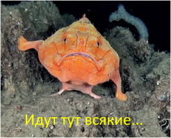 Великие постройки, спрятанные на дне морей
