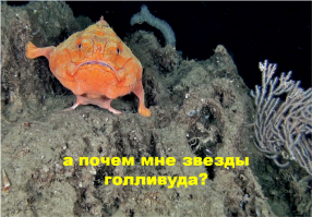 ТОП-10 самых высокооплачиваемых актрис Голливуда