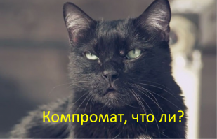 Любителям котов