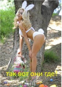 Неожиданная находка во дворе дома