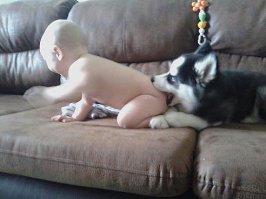 100 самых ценных снимков собак