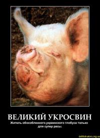 Луганск, 03.11.2014