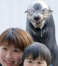 Фишкина солянка за 06.09.2014