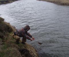 многие пишут, это не браконьерство...это спорт...вот поймал я на спиннинг, сфоткался и отпустил и рыба цела и я орёл. А тут, поймал, попробуй отпусти....или оголодали настолько, что рыбы в жизни не ели, хотя сомневаюсь, что имея оборудование за 50 000 руб вряд ли сидят голодные.