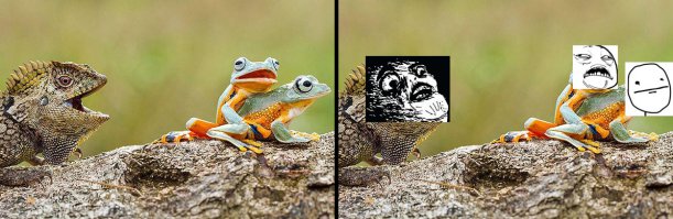 Лучшие фотографии животных за неделю