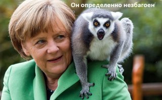 Животные в фотографиях