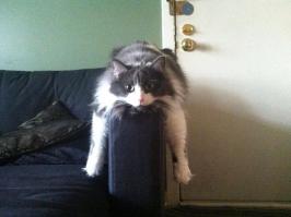 Фишкина солянка за 25.11.2014 