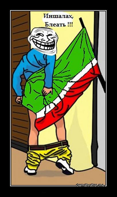 Подборка видео от 30.12.2013