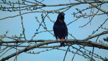 Krasota... Liubliu fotkat...