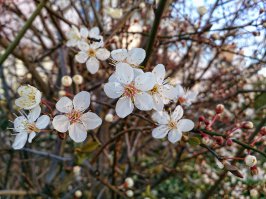 Krasota... Liubliu fotkat...