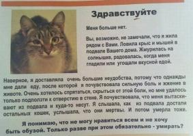 Класс! Я с детства люблю животных, кто у меня только не жил и никогда я их не обижал. Вот уже лет четырнадцать у меня живёт кот который меня очень сильно любит и мы его всей семьёй любим. Фотку раньше выкладывал. Плохо то, что есть люди которые очень плохо относятся к братьям нашим меньшим. На фишках было много про это написано и показано.Недавно в инете наткнулся на такое объявление. Ппц просто. Люди давайте  оставаться людьми!!!