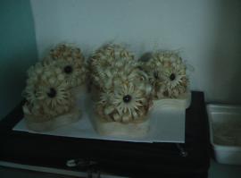 Скульптуры из зубочисток от Боба Морхеда