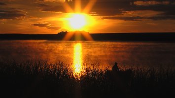 Лето - это маленькая жизнь