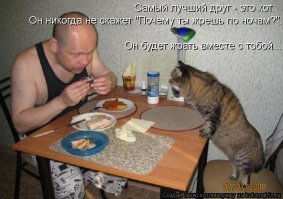 Чудесное спасение и преображение щенков