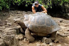 Она себя вот такой ощущает))