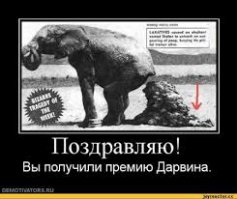 У нас новый победитель))))