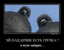  Такой наглости вы еще не видели