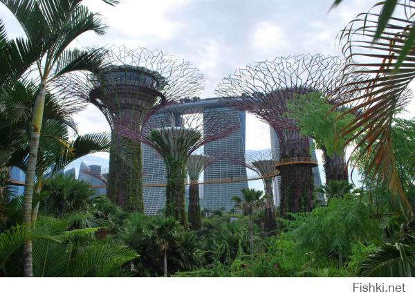 В Сингапуре на самом деле много чего интересного - целый отдельный остров с развлечениями. Голливуд, зоопарк, и конечно ботанический сад, который кстати находится совсем рядом, а вход в него бесплатный.