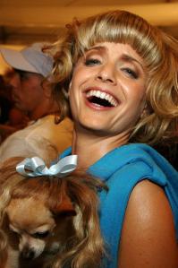 зато у собаки причёска удалась