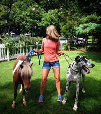 лошадка -то, на которой покататься как раз посередине будет!