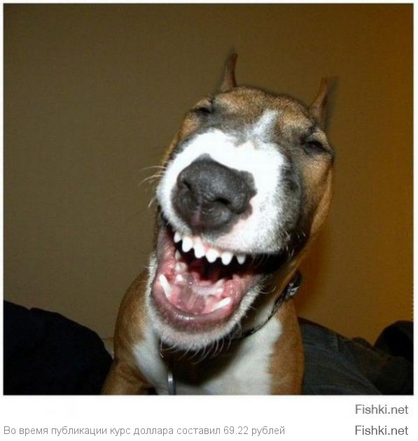 ха-ха-ха рыжего на котлеты пустят!