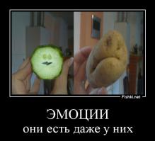 Вещи с лицами