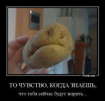 Вещи с лицами