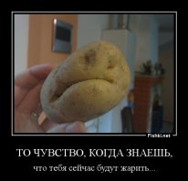 Парейдолия: Лица, скрытые в предметах быта