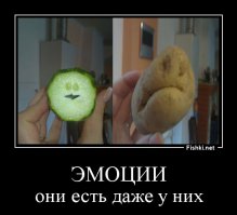 Парейдолия: Лица, скрытые в предметах быта