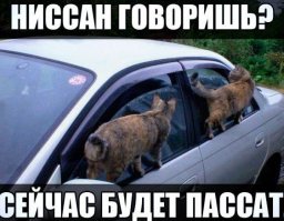 Если бы машины стали женщинами 