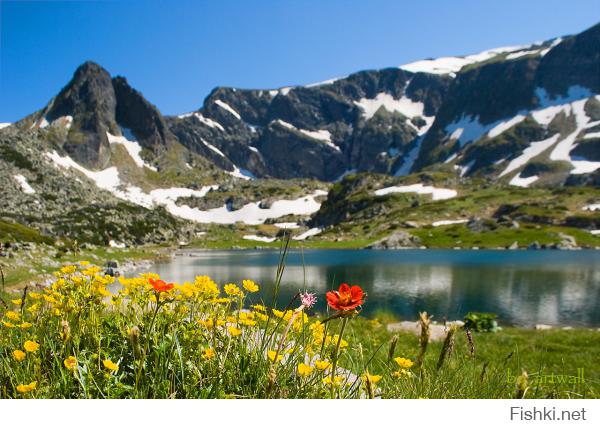 Так как по какойто причине не загрузились все фотки, добавляю в коментах те, которые пропали с поста. Идут - Етър, Велико Търново, Мелник, Пирин, поездка на поезде София-Мездра, Баба Марта, Семь Рильских озер, Йордановден - Крещение, Родопи, Выходные в деревни и Нестинарство.