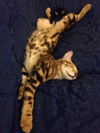 Не смогли расстаться