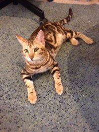 Не смогли расстаться