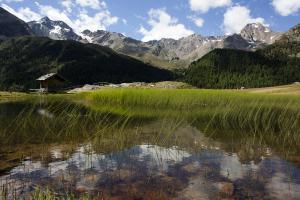 Фотоподборка за 03.09.2014