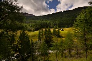 Фотоподборка за 03.09.2014