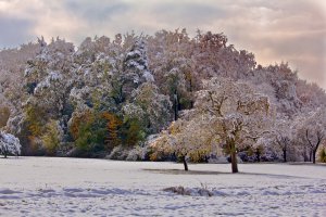 Зимние пейзажи