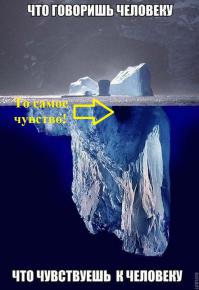 Смешные картинки с подписями