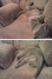 Вечная тема рунета))