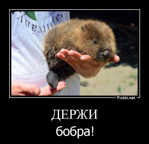 понимаю что несколько рановато...но попался клип офигенный...