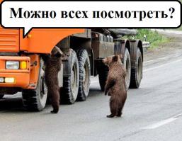 Гоп-стоп на дороге