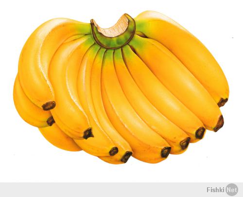 Невозможно съесть 2 килограмма бананов не останавливаясь.
Условия содержат всего 1 ограничение: спорящий не должен делать паузы, т.е. как только сделан глоток, новая порция банана должна попасть в рот.
Фишка спора в том, что примерно на третьем банане вкус мякоти банана становится похож на вкус кожуры.
Никто не съел даже пяти штук (по крайней мере я такого не видел).