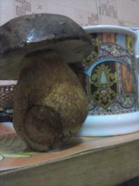 По грибочки...