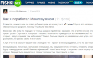 Как я поработал Мюнгхаузеном