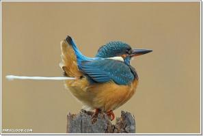 Так-то фигня какая-то.