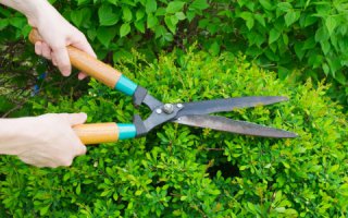 хорошо что не такие!