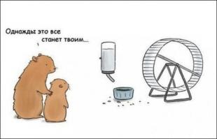 Мыши. История любви...