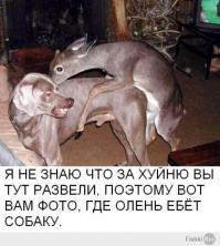 Обаму "поздравили" с днем рожденья в Москве