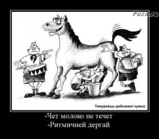 «Дом Павлова» без мифов или Дом солдатской славы